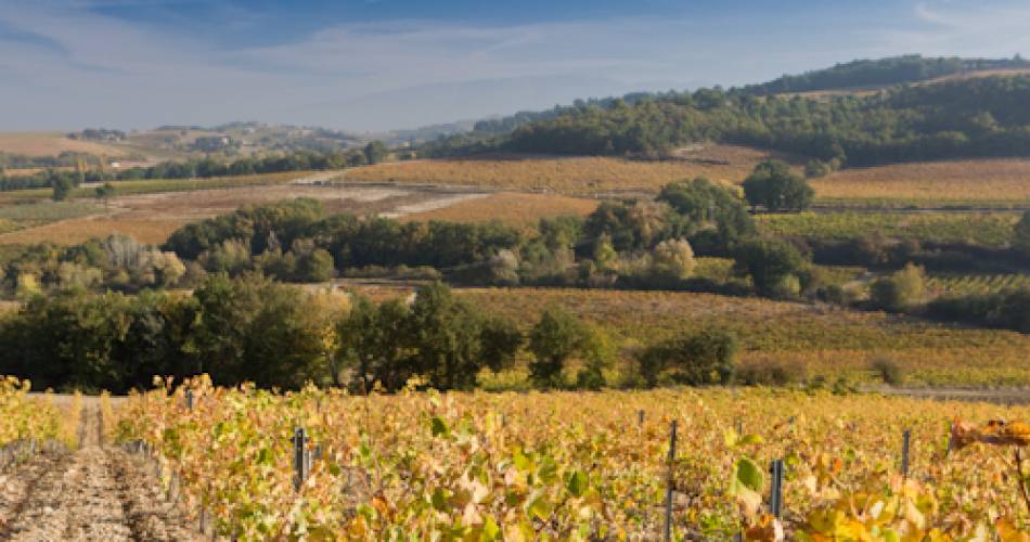 Domaine Au 7ème Clos@Guenhael Kessler