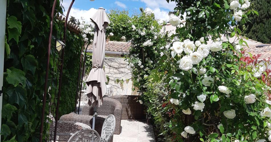 Studio Skye - Le Chat Sur Le Toit@Anne Fleck