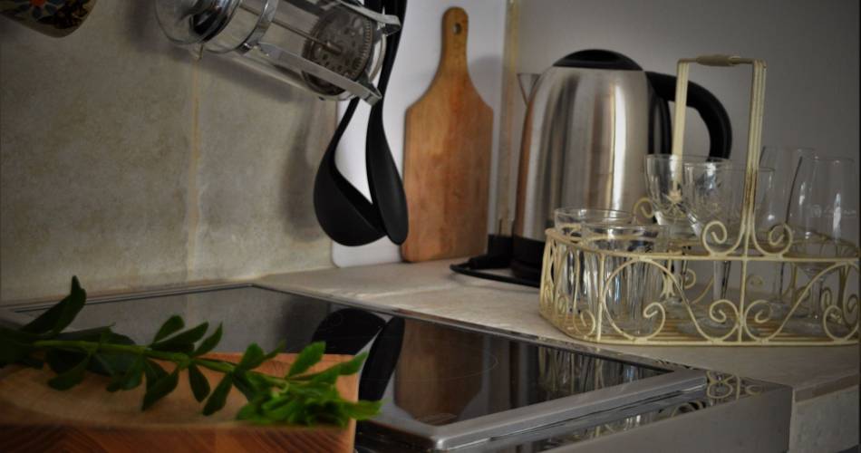 Studio Skye - Le Chat Sur Le Toit@Anne Fleck