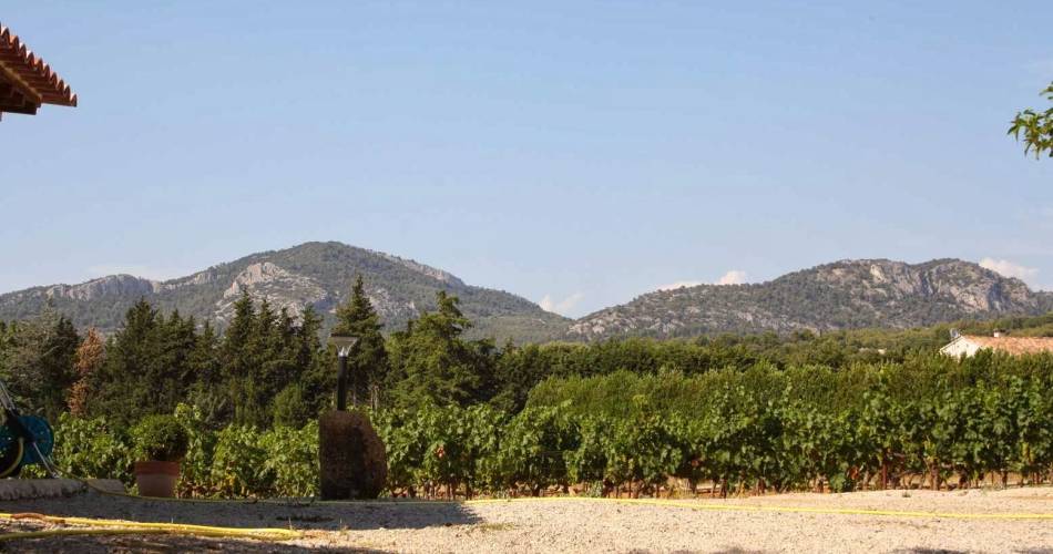 La Fraiseraie - Pajaro@Yvette Roux