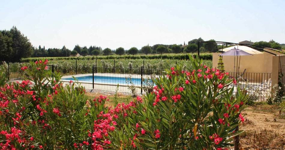 La Fraiseraie - Pajaro@Yvette Roux