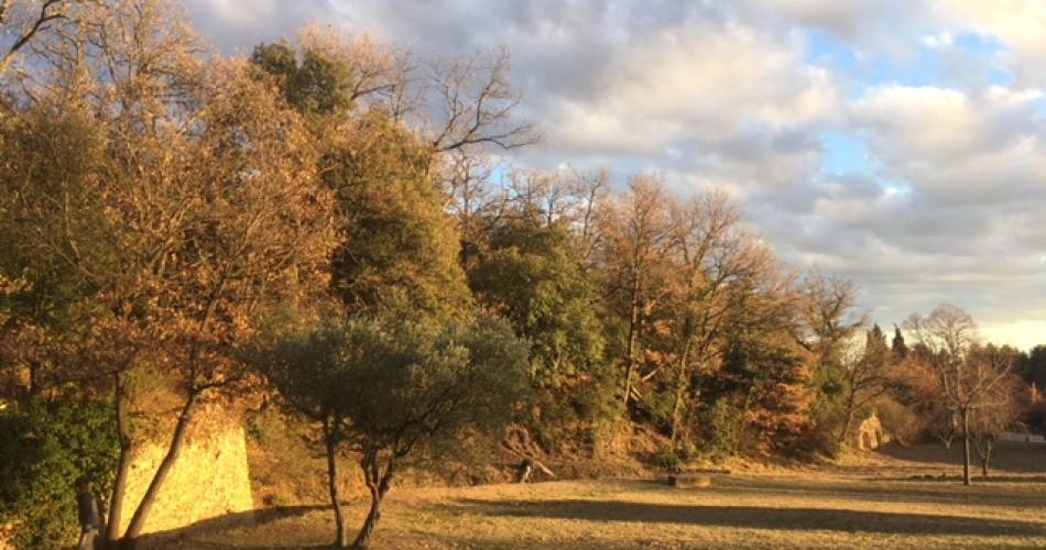 Sur les toits de Vaugines@Didier Botti