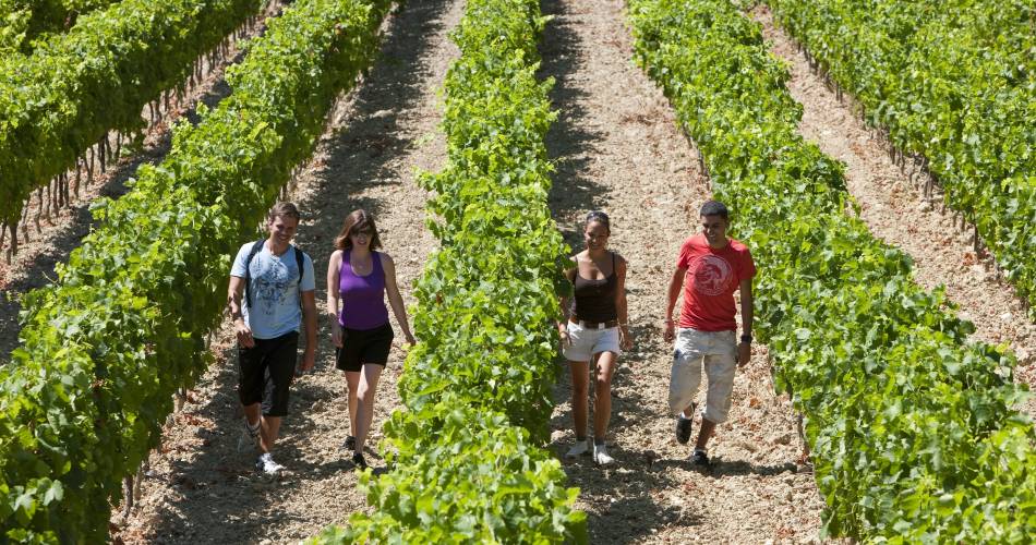 Winegrower's trail at the Caveau de Beaumont du Ventoux@Caveau Beaumont du Ventoux