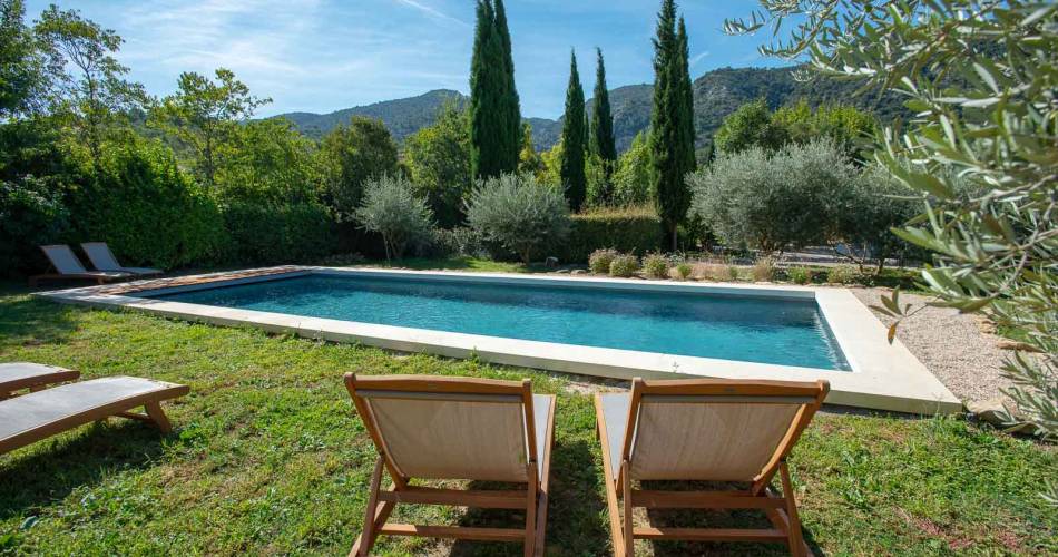 Plein Soleil - Le Champ des Oliviers@Photo R.Cintas-Flores