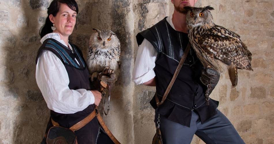 Falconry at the Fortress of Mornas@© Forteresse de Mornas