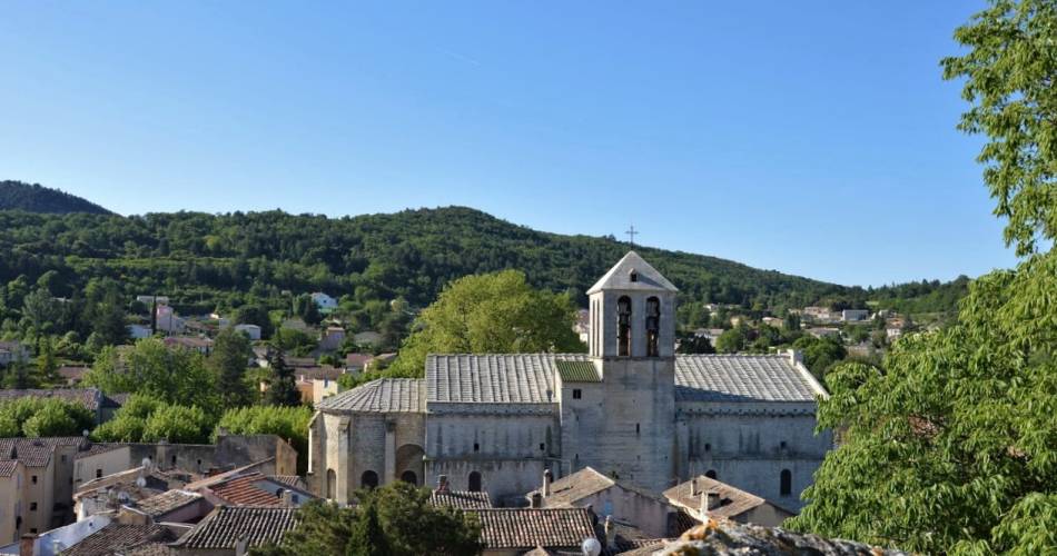 Randonnée pédestre - Le Groseau et le Vallon des Gipières@OTI Ventoux Provence