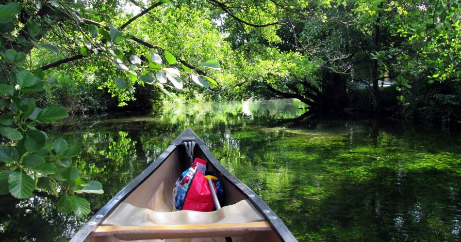 Canoeing in Le Thor@Club canoë au Thor_Le Thor