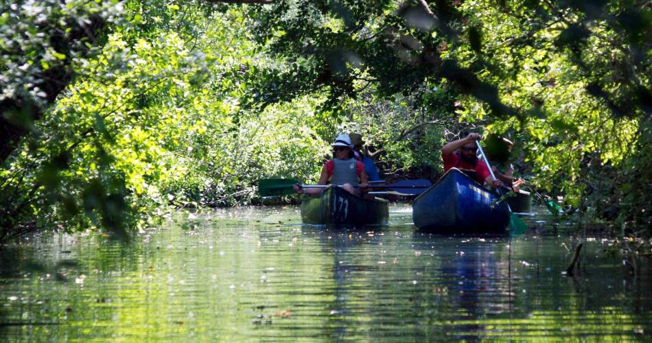Canoeing in Le Thor@Club canoë au Thor_Le Thor