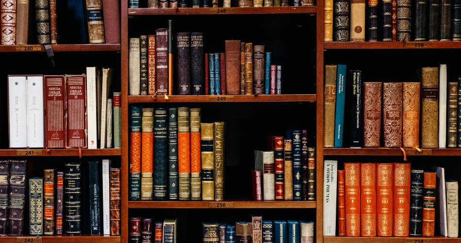 23ème Salon du livre ancien et d'occasion@Inaki del olmo 602632 Unsplash