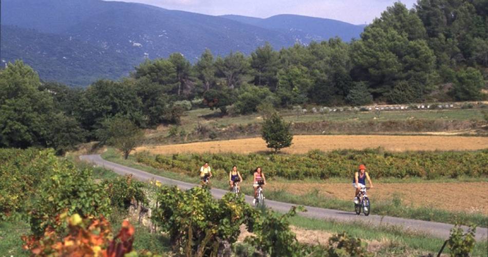 Tour du Luberon à vélo en liberté@Chemins du sud
