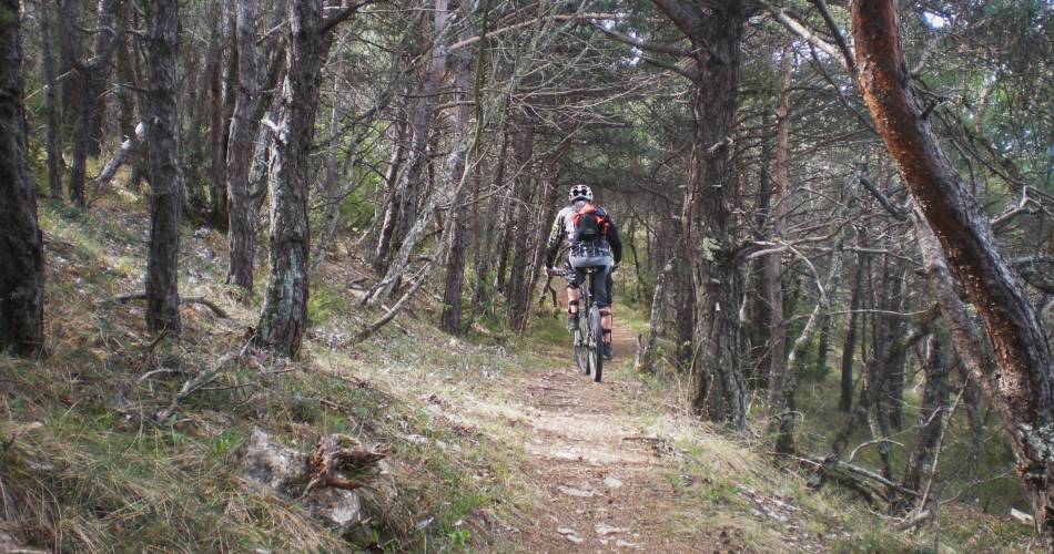 VTT n°1 - ’Grand Tour de Forcalquier à la Montagne de Lure’@© Maison du Parc du Luberon