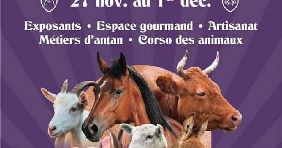 Foire de la Saint Siffrein@Ville de Carpentras