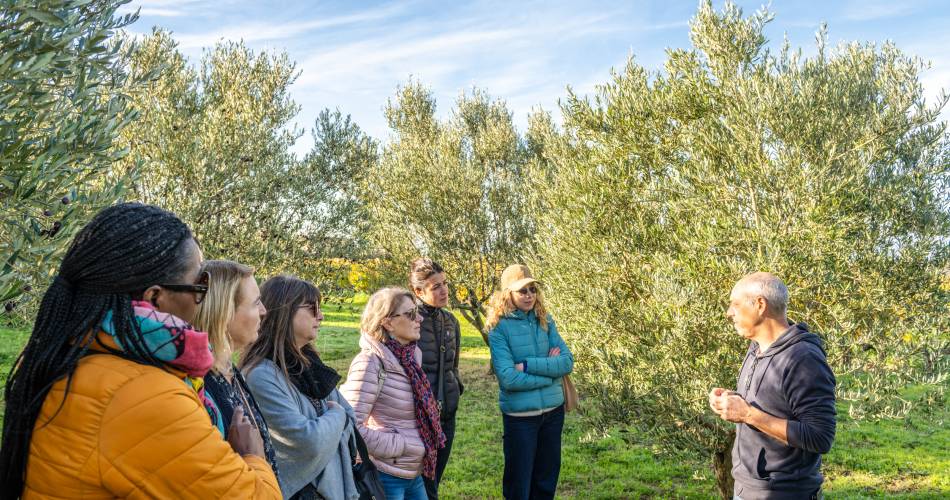 Dégustation d'huile d'olive à la boutique "Les 3 Souquets"@Dorian VENZI