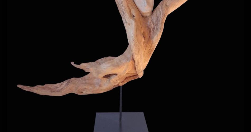 Edy Boucher - L'Arbre en Scène, woodcarver@Edy Boucher