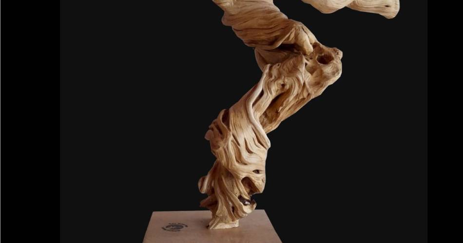 Edy Boucher - L'Arbre en Scène, woodcarver@Edy Boucher