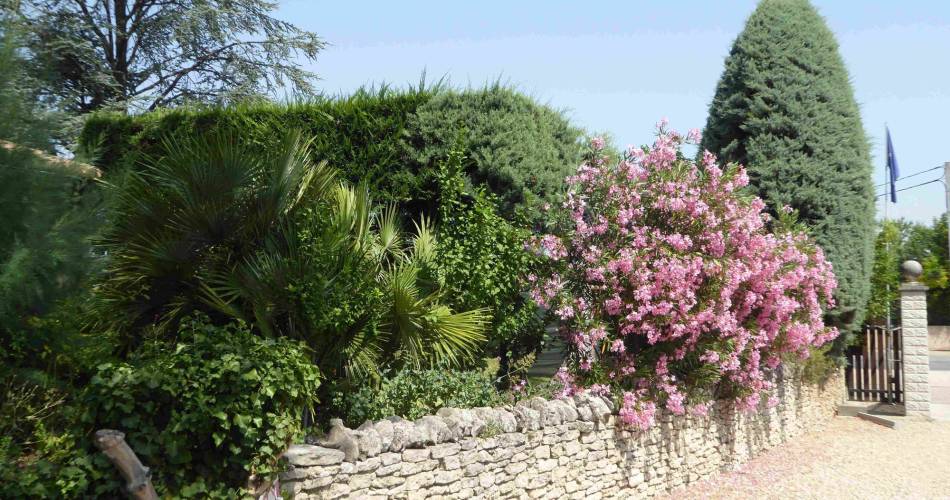 Cabane perchée dans les arbres@Mr et Mme Mery