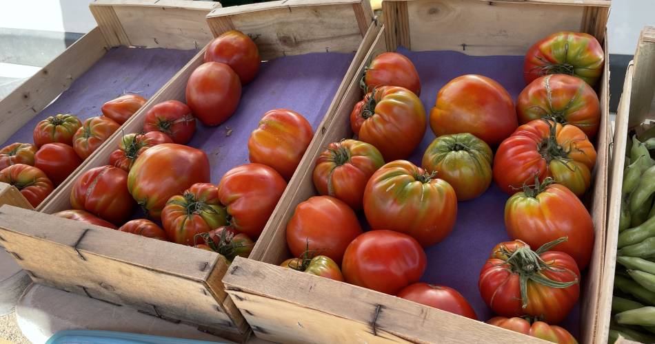 Marché de Chateauneuf-de-Gadagne@Isle sur la Sorgue Tourisme