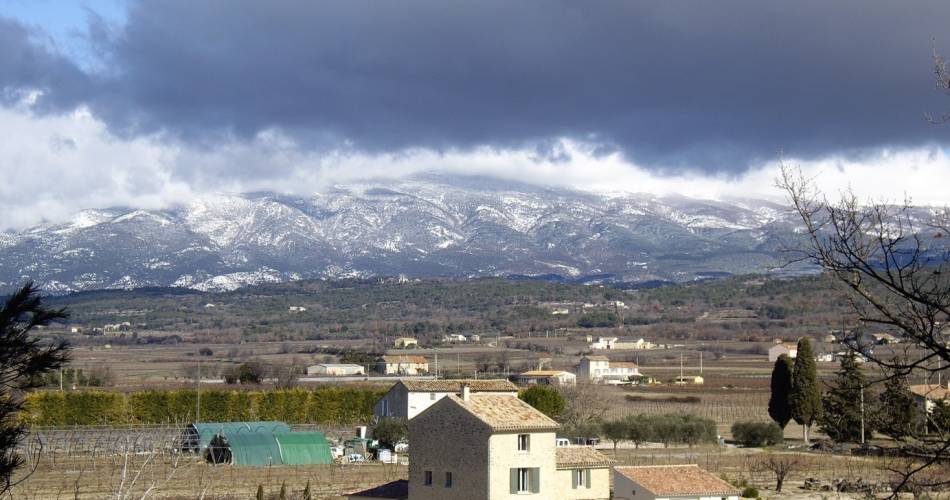 Les Oliviers de Notre Dame@OTI ventoux Provence