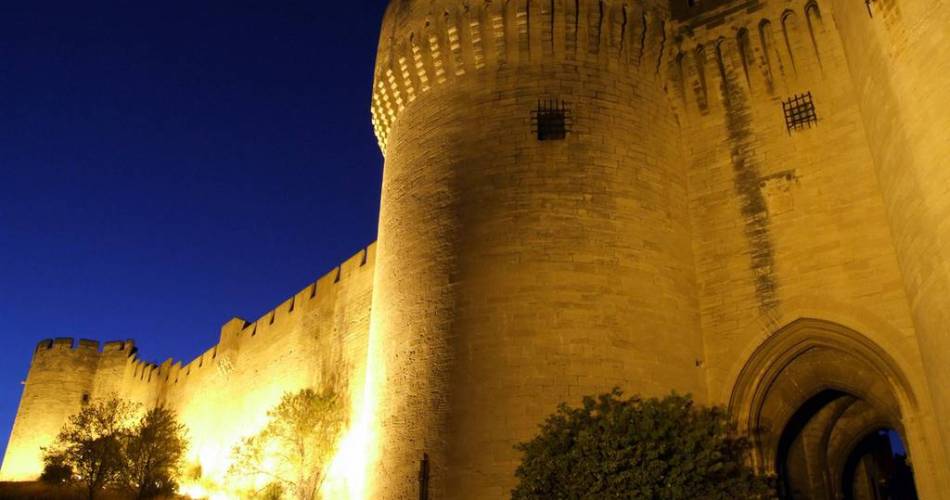 Visite au clair de lune du Fort Saint-André@@MairieVLA