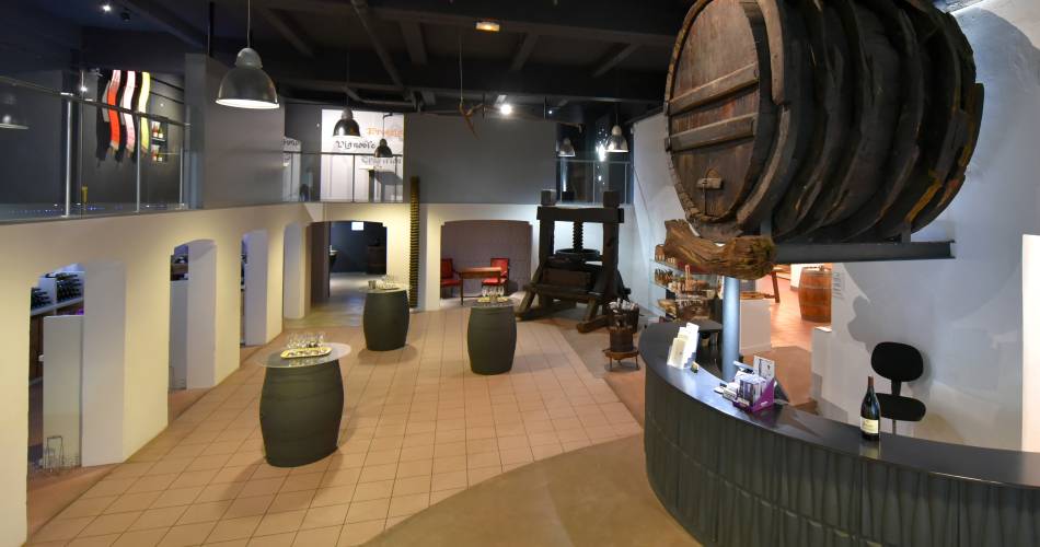 Wine & Gourmet Workshop at the Brotte Wine Museum@Maison Brotte