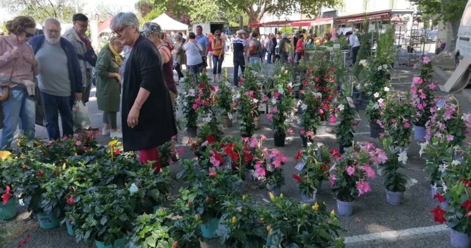 Les Fleuralies@Les fleuralies