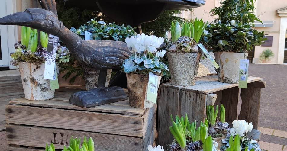 Les Bohémiens@Les bohémiens