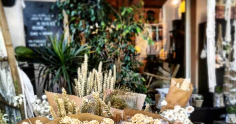 Les Bohémiens@Les bohémiens