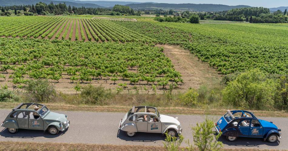 Oh My Deuche, 2CV rentals - Provence excursions@Oh My Deuche