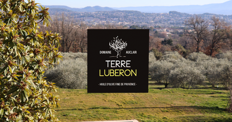 Chambres d’hôtes Terre Luberon@Terre Luberon