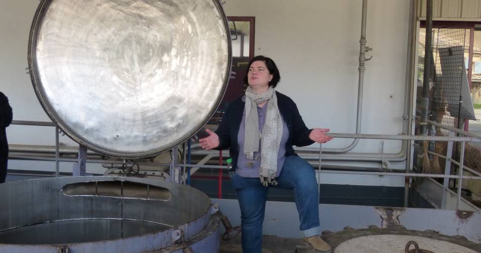 Guided tour of the Agnel lavender distillery@OTI Pays d'Apt Luberon