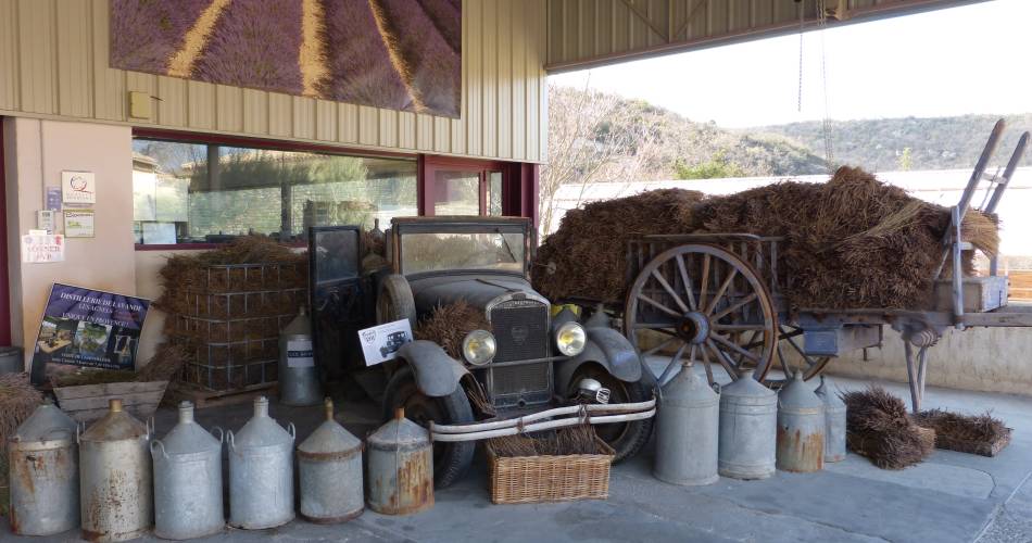 Guided tour of the Agnel lavender distillery@OTI Pays d'Apt Luberon