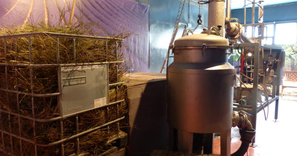 Guided tour of the Agnel lavender distillery@OTI Pays d'Apt Luberon