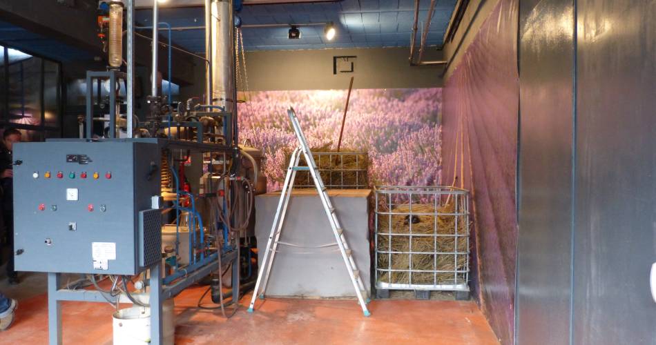 Guided tour of the Agnel lavender distillery@OTI Pays d'Apt Luberon