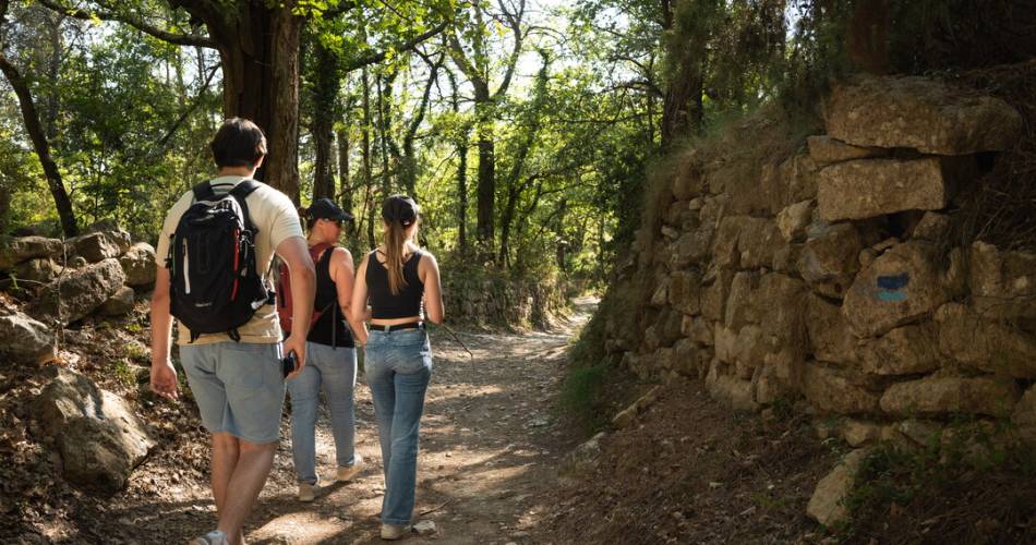 A04 Balade & Découverte - La Parisienne@Clotide Arnaud