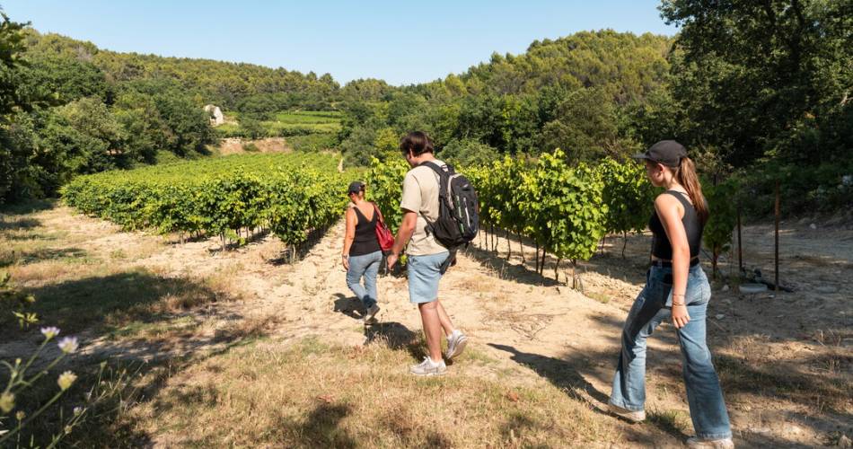 A04 Balade & Découverte - La Parisienne@Clotide Arnaud