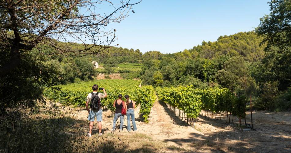 A04 Balade & Découverte - La Parisienne@Clotide Arnaud