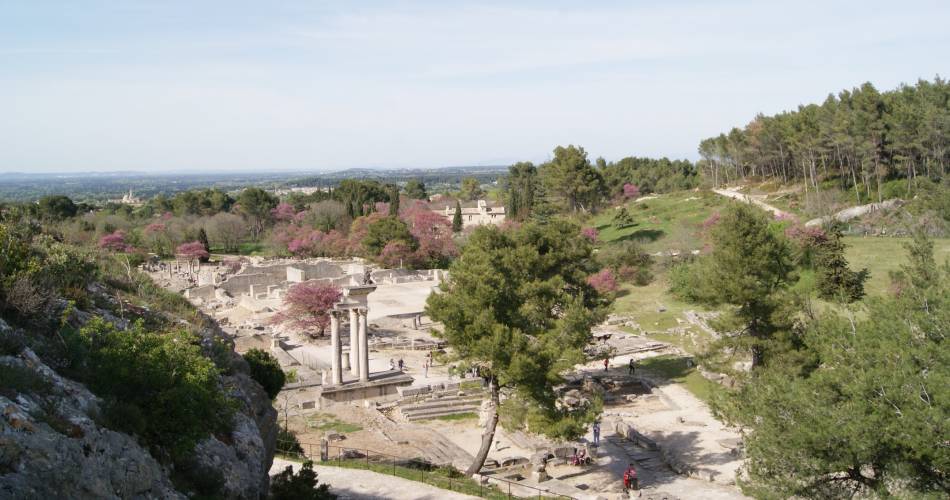 Site Archéologique de Glanum@OTI Alpilles en Provence