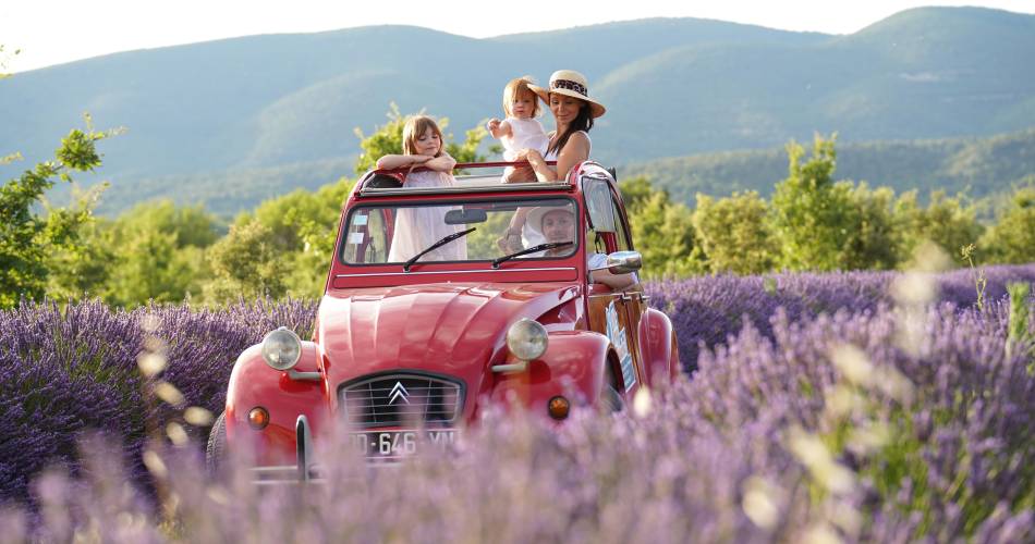 Le Luberon en 2cv décapotable@Stéphanie Avon