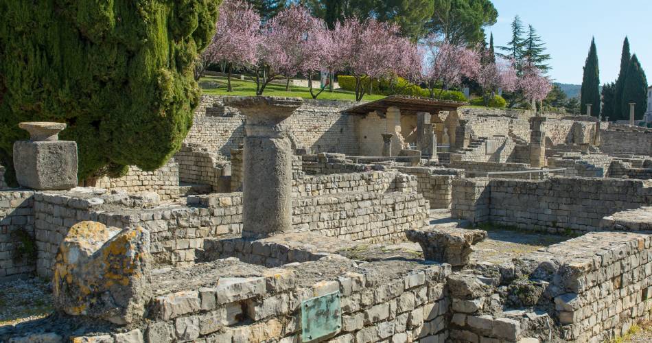 Der archäologische Park von Vaison-la-Romaine@Vaison-la-Romaine