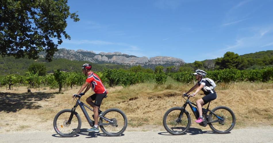 Dentelles de Montmirail mountains: Guided bike ride@Régis Mathieu