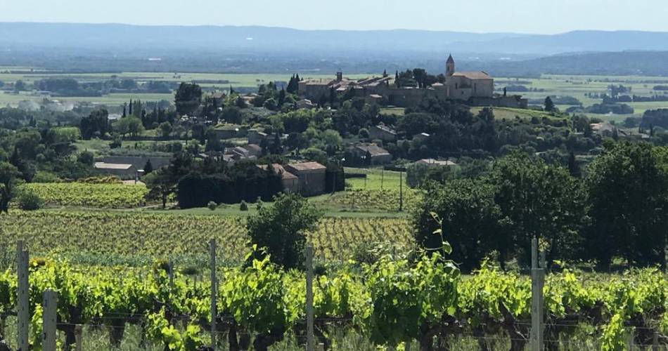 Walk and picnic at the Galuval estate@Domaine Galuval