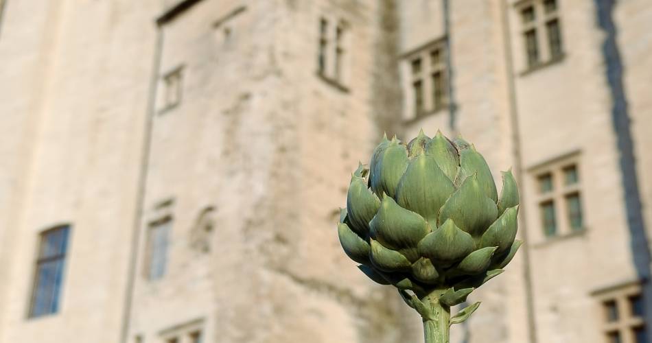 Die Gärten des Papstpalastes@©Jean-Christophe Guisset - Avignon Tourisme
