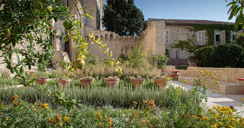 Die Gärten des Papstpalastes@©Franck Mariotti - Avignon Tourisme