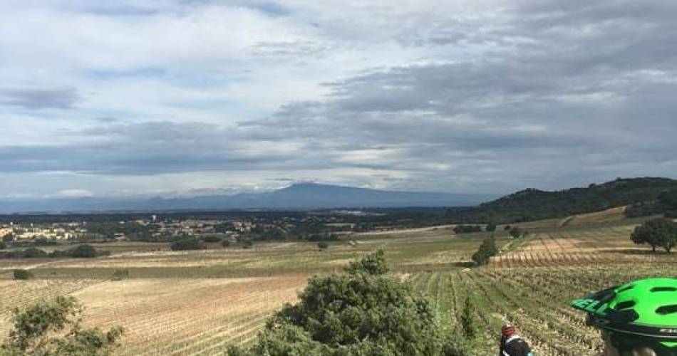 Provence Bike Tour@provencebiketour