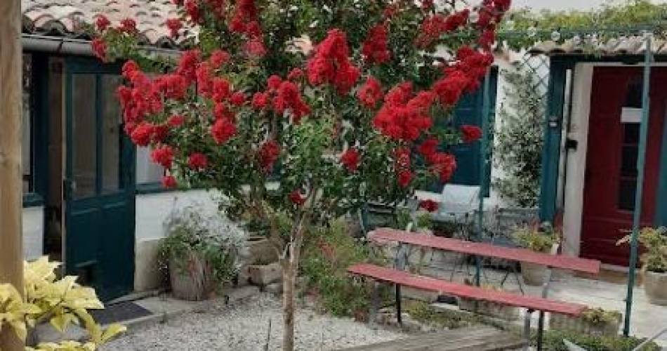 La Provençale / Pernes@La Provençale / Pernes