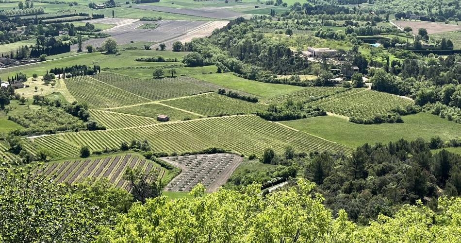 Besichtigung & Verkostung in den GÄRTEN des Palais Saint Firmin@Yannick FREMONT