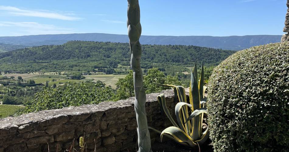 Besichtigung & Verkostung in den GÄRTEN des Palais Saint Firmin@Yannick FREMONT