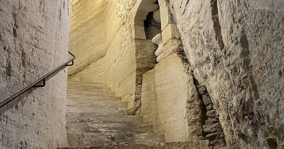 Besichtigung & Verkostung in den GÄRTEN des Palais Saint Firmin@Yannick FREMONT