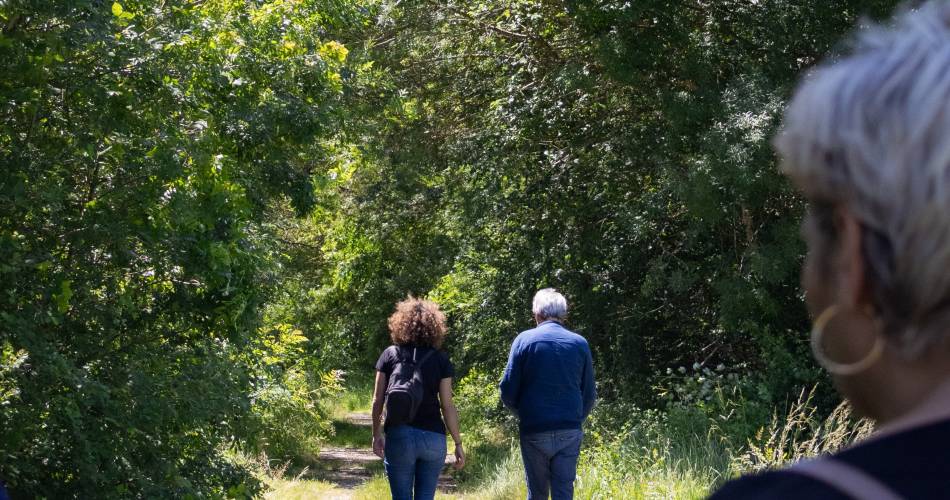 Parcours - Les berges des Sorgues à Bédarrides@Porte du Ventoux Tourisme