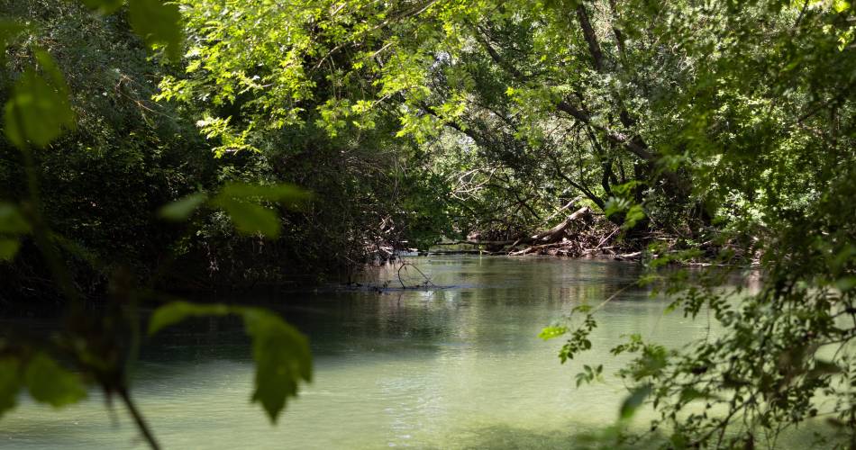 Parcours - Les berges des Sorgues à Bédarrides@Porte du Ventoux Tourisme